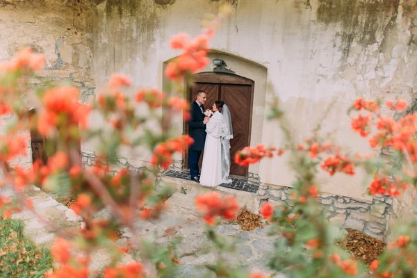 Handsome newlywed couple kissing near entrance of antique ruined castle with cute small red flowers on foreground