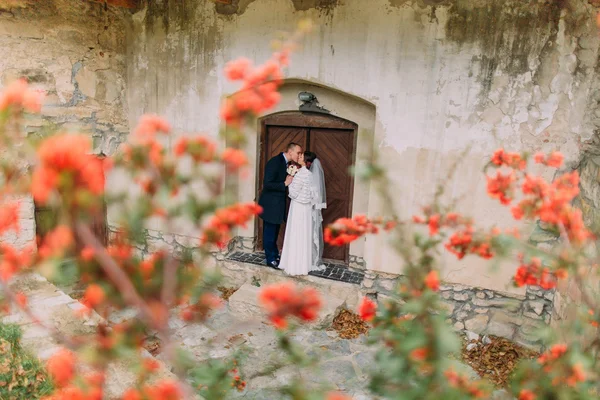 Handsome newlywed pair kissing near entrance of antique ruined castle with cute small red flowers on foreground