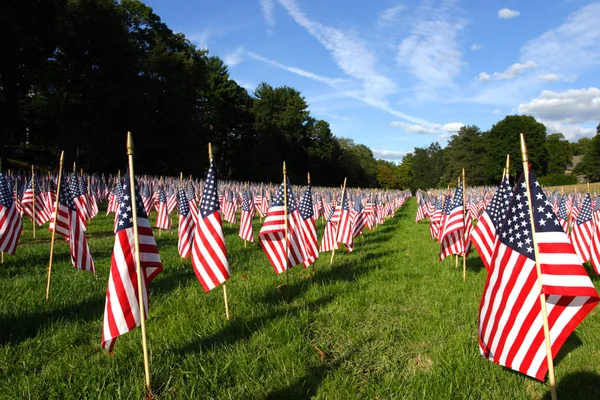 Field of American Flags