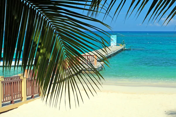 Doctor\'s Cave Beach Club, Montego Bay, Jamaica