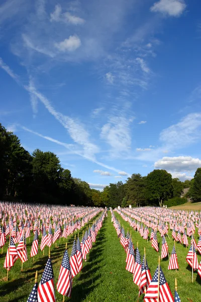 Field of American Flags