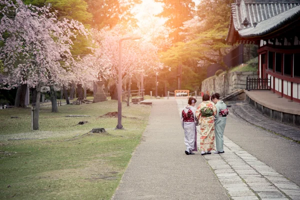 Three japanese girls wearing kimono walking in sakura garden with morning lights