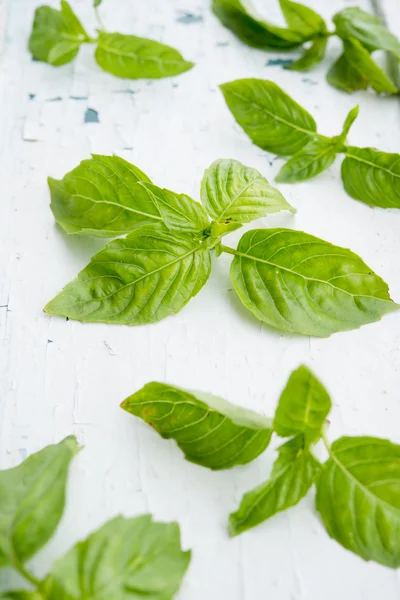 Fresh organic basil