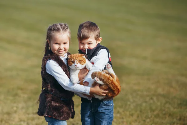 Happy little brother and sister together holding hands on a big red cat.