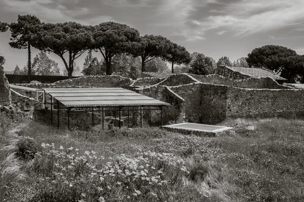 View of the ruins of Pompeii, Italy