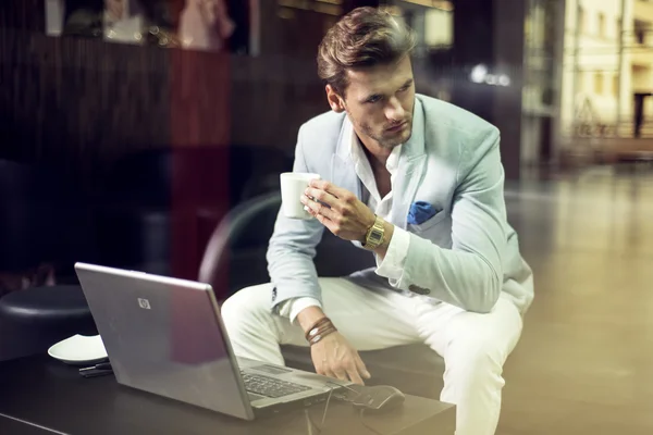 Handsome businessman sitting in a restaurant with a laptop