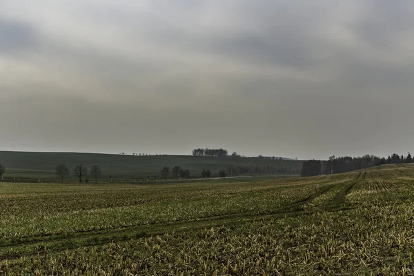 Landscape with filed and clouds in late autumn