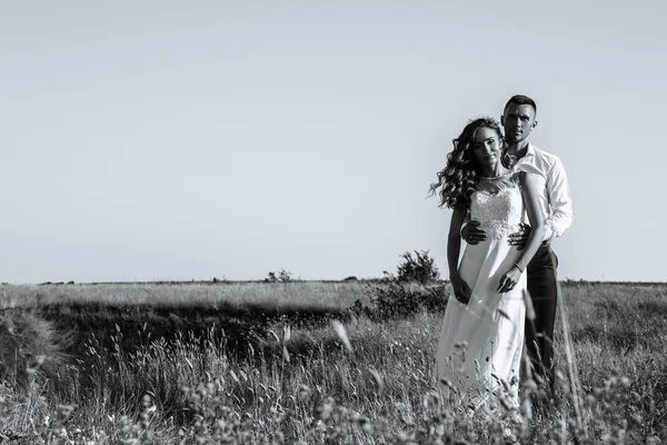 Young newlywed couple of woman in wedding dress and man walking in field in sunlight outdoor, black and white