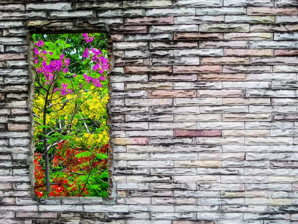 Crack brick wall and  purple red yellow flower green tree