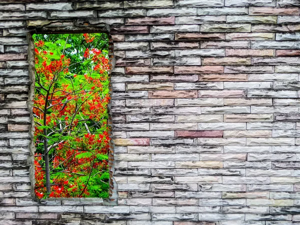 Crack brick wall and  red flower green tree