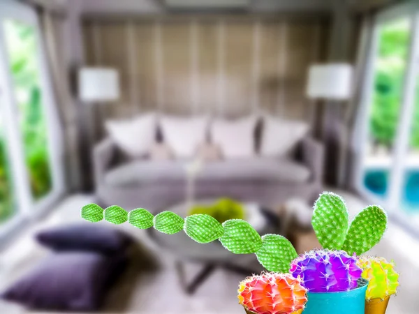 Green cactus long hand and three cactus color ball friend living