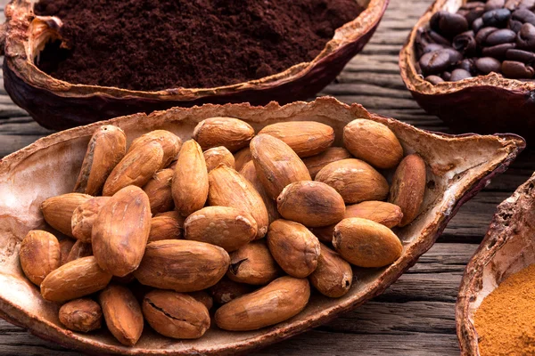 Cacao seeds from pot is ready to be made cacao powder setup on wooden background.