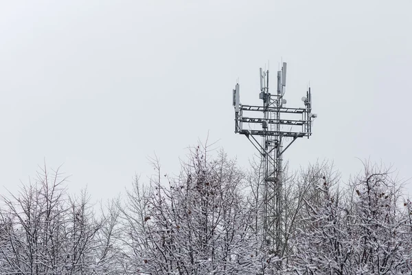 Tower with antennas