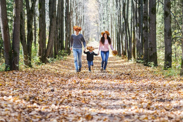 Family in Autumn Park.