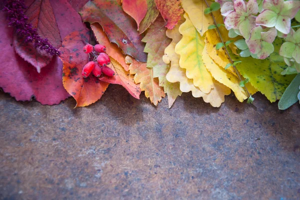 Autumn leaves and berries