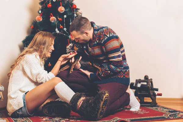 Young couple under christmas tree