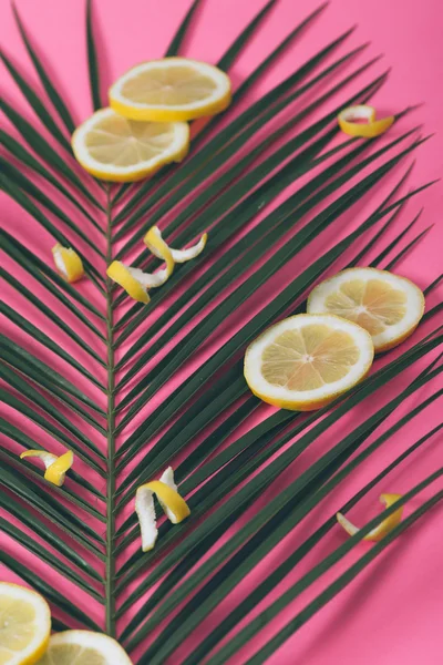 Lemon slices on palm leaf