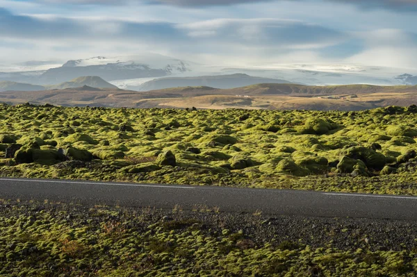 Grindavik Lava field at Iceland that cover by green moss with asphalt road foreground and snow mountain background in Autumn season