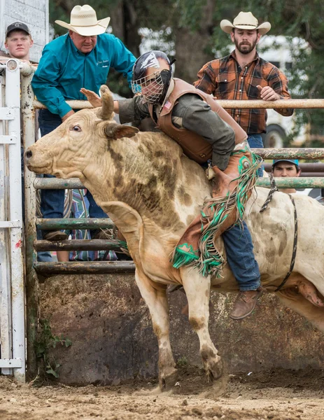 Rodeo in Northern  California