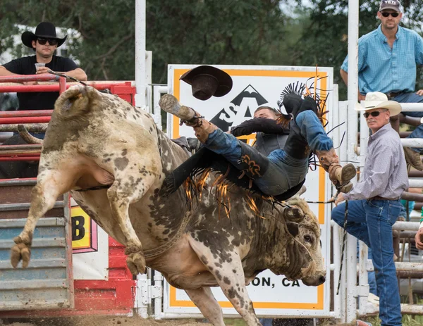 Rodeo in Northern  California