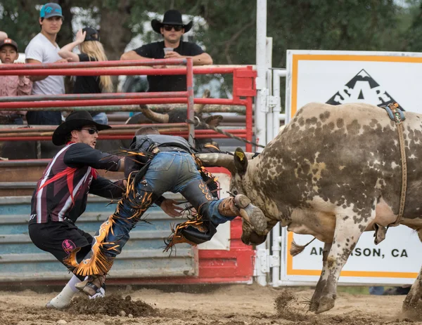 Rodeo in Northern  California