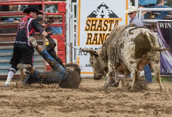 Rodeo in Northern  California