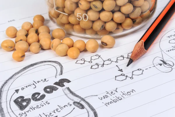 Soybean, chemical formula, pencil and blue chemistry with reaction formula.