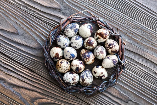 Quail eggs for Easter in a nest of twigs
