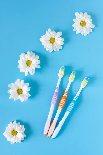 Three toothbrushes and chamomile flowers on a blue background. The concept of natural cosmetics. You and me. View from above. Healthy lifestyle