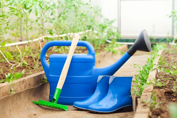 Colorful garden tools. watering can, rubber boots and rake.