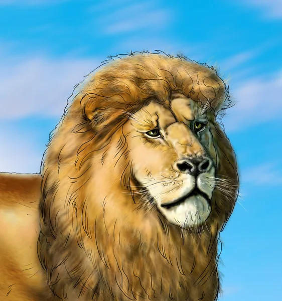 Lion king wildlife portrait