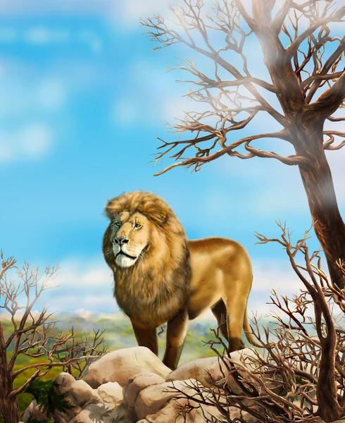Lion king wildlife Poster