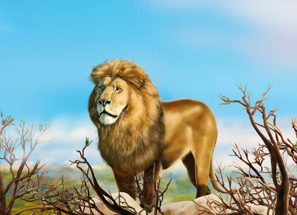 Lion king wildlife Illustration