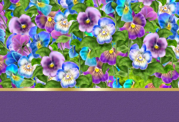 Pansy flowers scrapbook. Viola tricolor flowers meadow. Pansy field, garden. Summer flowers Multicolored pansies. Digital illustration. For Art, Print, Web design.