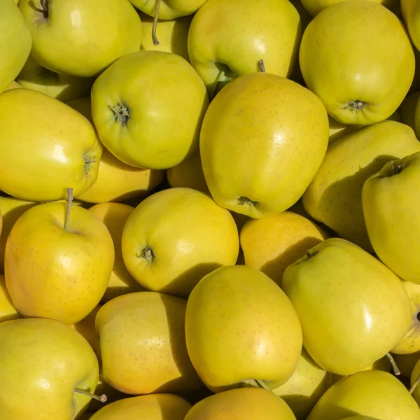 Natural wallpaper of green apples. Green apples in box.