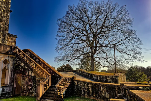 Old stairs and old tree