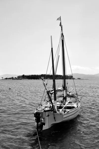 Black and white sailboat on sea