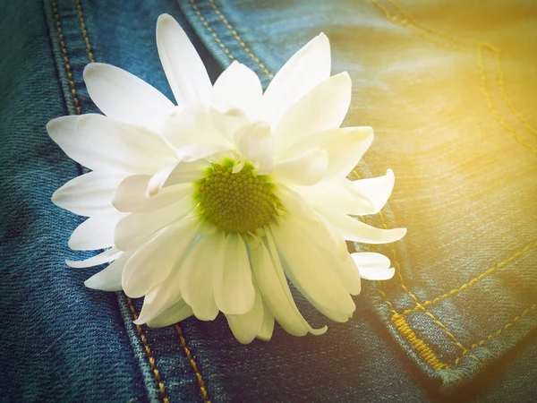 White daisy on top of jeans retro style