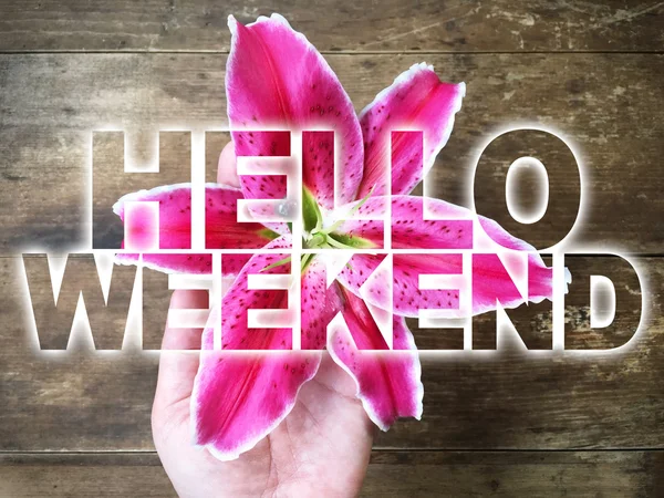 Woman hand holding pink lily with word Hello Weekend