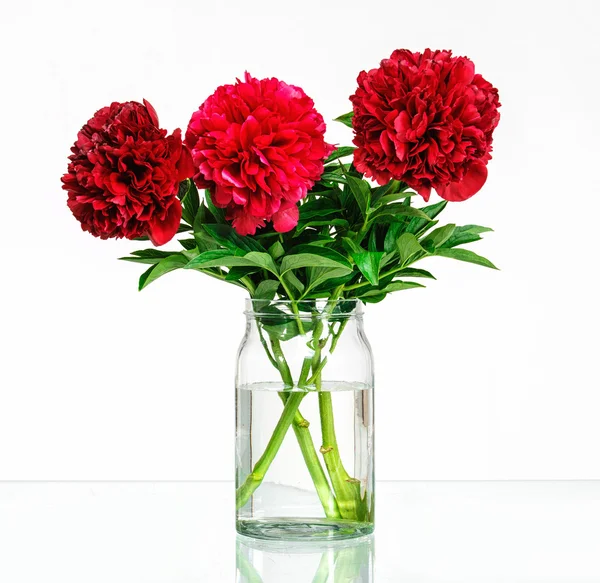 Peonies in a glass vase with water
