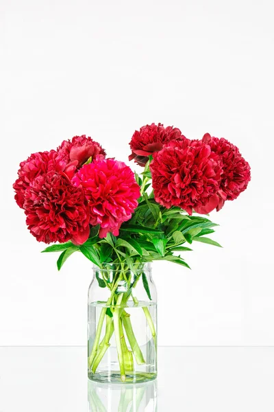 Peonies in a glass vase with water