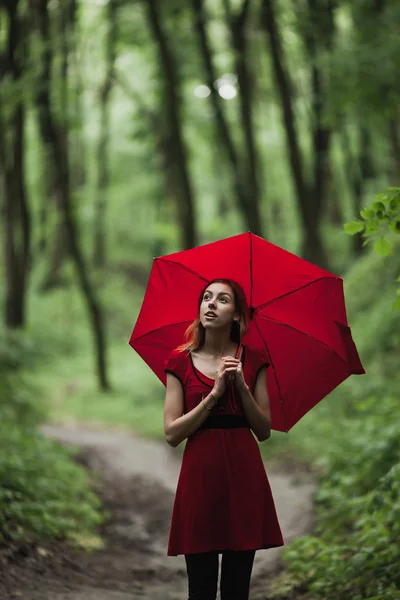 Happy girl in red dress walking in fresh green forest with umbrella. Rain concept.