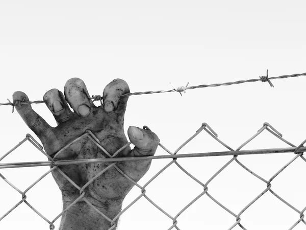 Dirty and discolored hand clinging to a steel barb wire fence, black and white