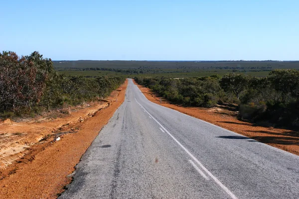 Sealed outback road lined with red earth and bushed leading towards horizon