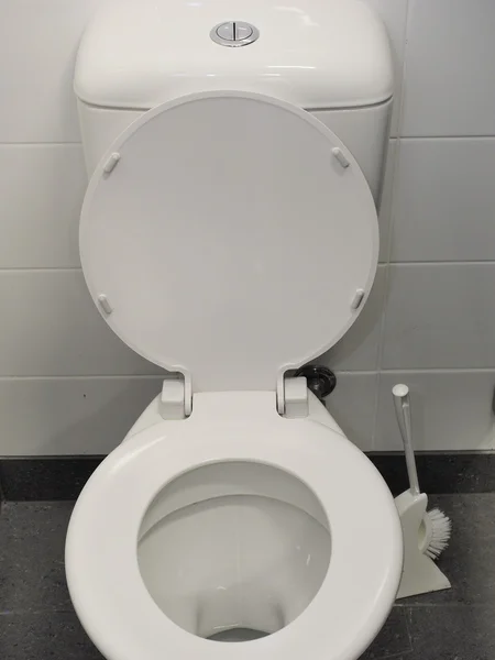 Toilet bowl with brush in a cubicle in a pristine industrial lavatory
