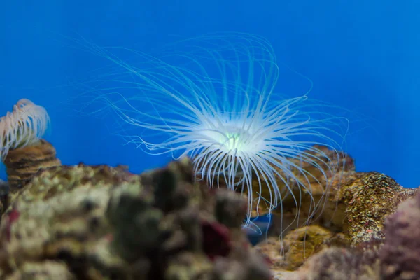 Underwater World Aquarium