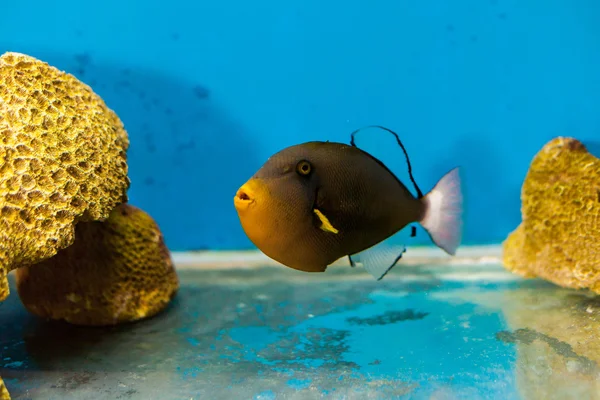 Underwater World Aquarium