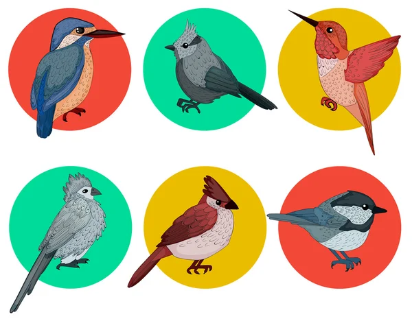 Colorful Birds. Different Birds. Set of Birds. Hand Drawn