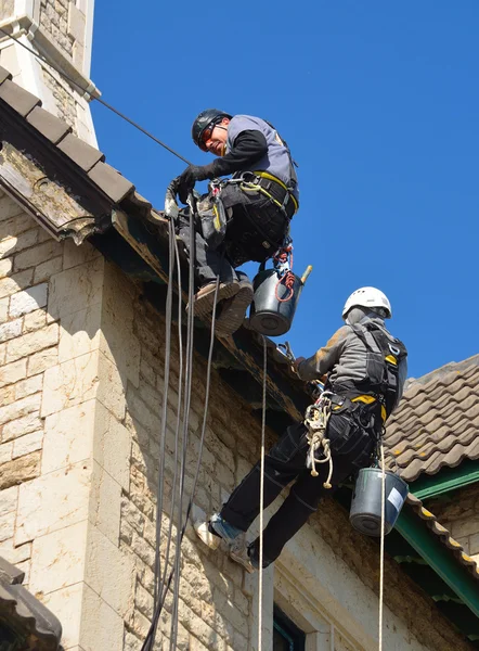 Abseiling building maintenance workers at work.