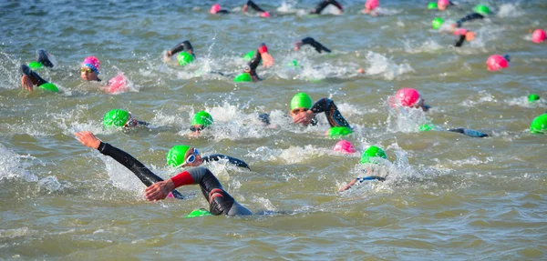 Competitors swimming in at the end of the swimming stage at the beginning of Triathlon.